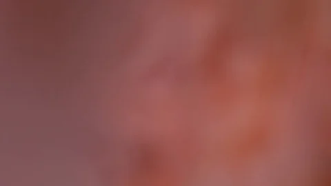 Pink feather falling out of focus 120 fps Stock Footage 80923725