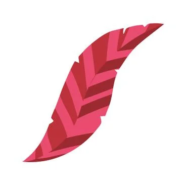 Pink feather isolated イラスト素材