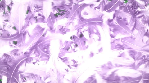 Pink feather particle glow loop animation Stock Footage 146575875