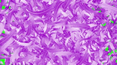 Pink feather particle glow loop animation Video stock 146576376