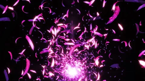Pink feather particle glow loop animation Video stock 146576803