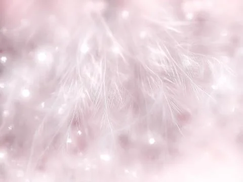 Pink feather pattern texture background with bokeh Stock Photos