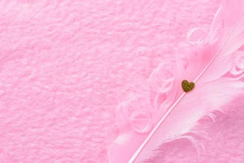 Pink feather Stock Photos