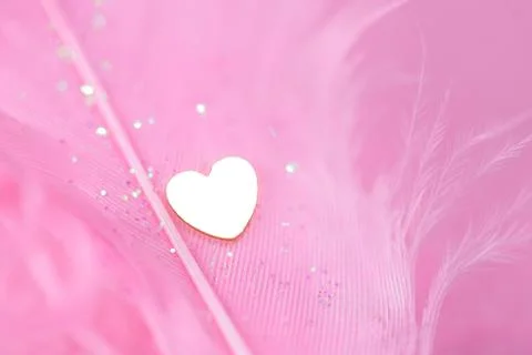 Pink feather Stock Photos