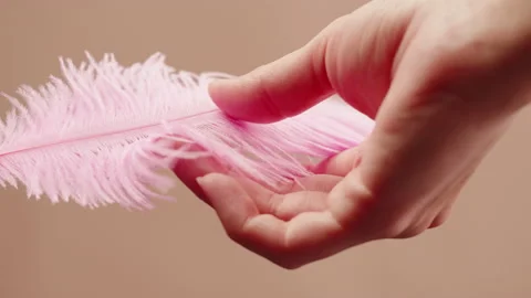 Pink feather texture, touching soft plumelet on beige background close-up Video stock 206440843