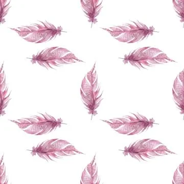Pink feathers on white background. Hand draw watercolor illustration Stock Illustration
