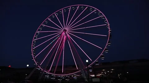 Pink Ferris Wheel at Night Stock Footage 170397319