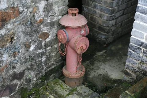 A pink fire hydrant is placed on the stone wall of an ancient Chinese buildin Stock Photos