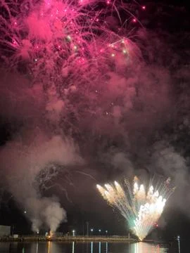 Pink firework bursts above dark night sky Фото