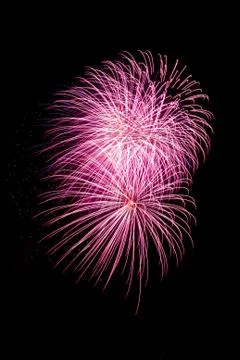 Pink fireworks Stock Photos