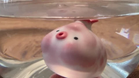 Pink fish tea pet Stock-Footage 323712837