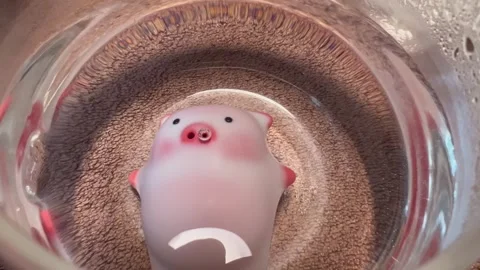 Pink fish tea pet Stock-Footage 323713091