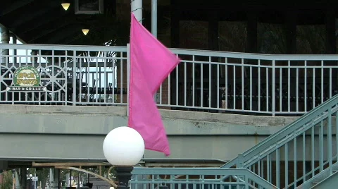 Pink Flag Stock Footage