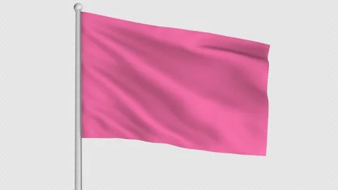 Pink Flag 動画素材 247979329
