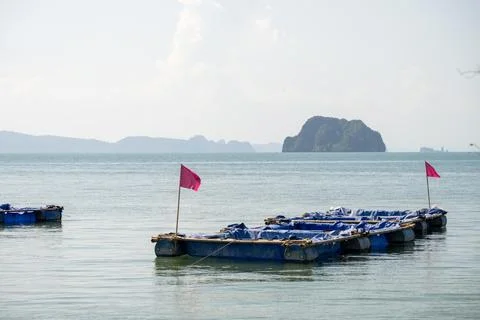 Pink Flags Mark Floating Krabi Fishery Pens Stock Photos