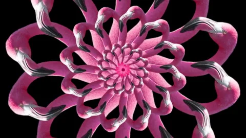 A pink flamingo abstract pattern Stock Footage 257573163