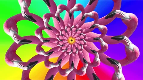 A pink flamingo abstract pattern Stock Footage 257573369