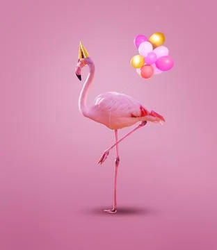 Pink flamingo in birthday cap with party helium balloons Stock Photos