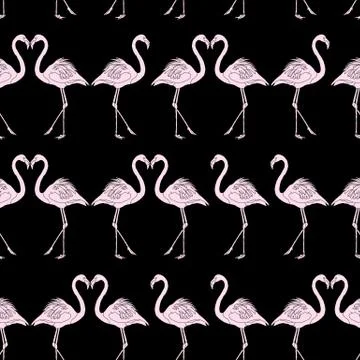 Pink Flamingo Black Pattern 스톡 일러스트