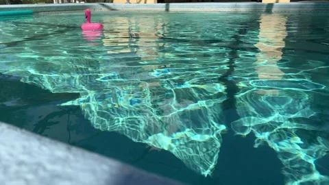 Pink Flamingo Float in A Swimming Pool 4K 스톡 동영상 208111439