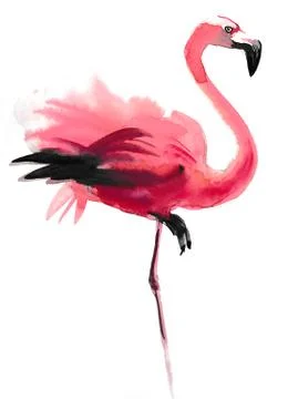 Pink flamingo Illustrazione stock