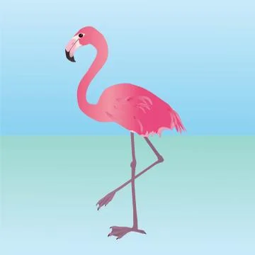 Pink flamingo イラスト素材