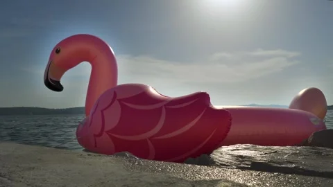 Pink Flamingo Inflatable Float on a Sunny Beach by the Sea Stock Footage 340298465