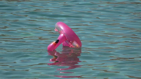 Pink Flamingo Inflatable Float Water Beach Stock Footage 282767450