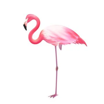 Pink Flamingo One Leg Realistic Icon Stock Illustration