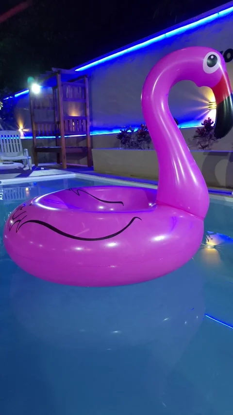 Pink flamingo pool float drifting at night with blue ambient light. Stock Footage 312898161