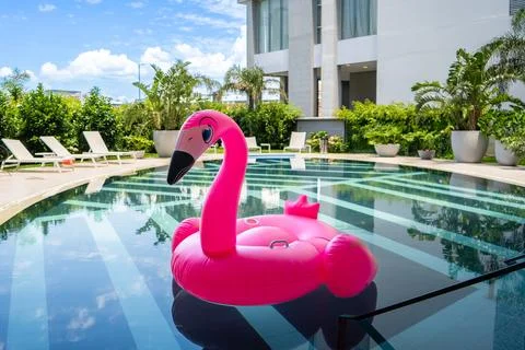A pink flamingo pool float is floating in a pool. 写真素材