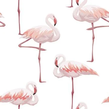 Pink flamingo seamless pattern Illustration