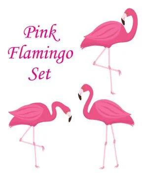 Pink flamingo set of objects. Isolated on white background. Vector illustrati Stock Illustration