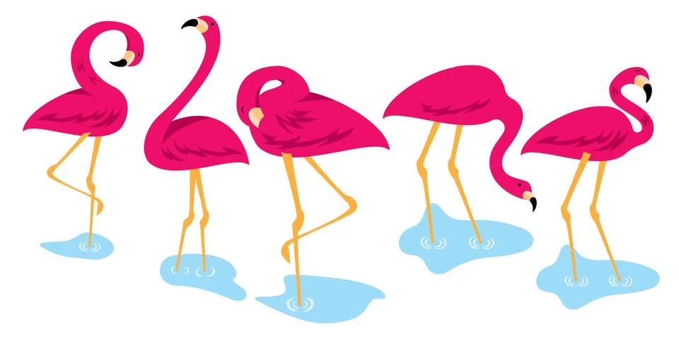 Pink flamingo set  vector illustration. Exotic flamingo bird in different pos Stock Illustration