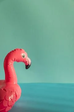 Pink Flamingo Shaped Pool Float on Turquoise Water under Sunlight. Front view Stock Photos