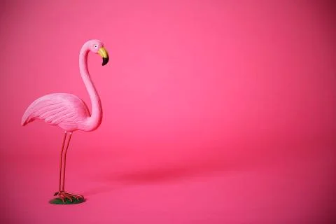 Pink flamingo in studio Stock Photos