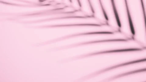 Pink floor wall with tropical leaf shadows Video stock 245178987