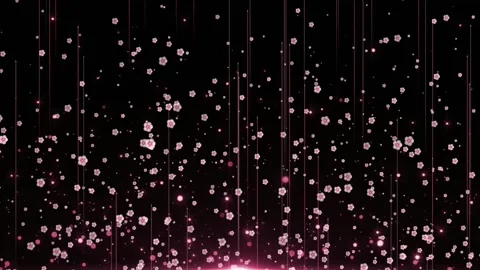 Pink Floral Particles Falling Digital Rain Loop Background Stock Footage 320816668