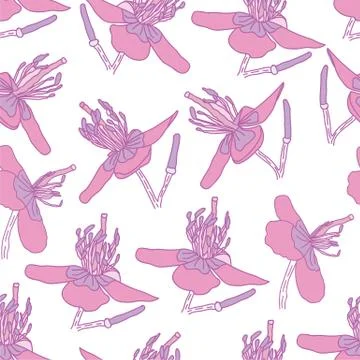 Pink Floral Seamless Pattern on White Background Stock Illustration