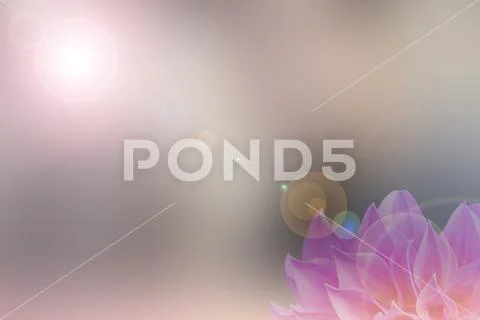 Pink flower abstract smooth blur lens flare background Stock Photos