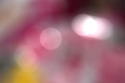 Pink flower bokeh  background Stock Photos
