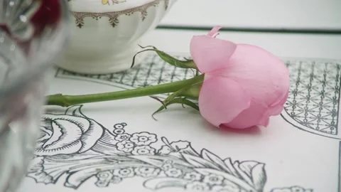 Pink Flower Falling on Table 動画素材 236057035