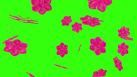 Pink Flower Stock Footage 150728455