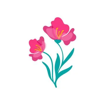 Pink flower hand drawn isolate in doodle style. A beautiful spring plant with Stock Illustration