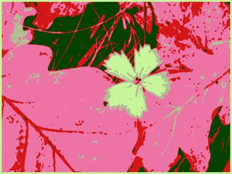 Pink flower I Stock Illustration