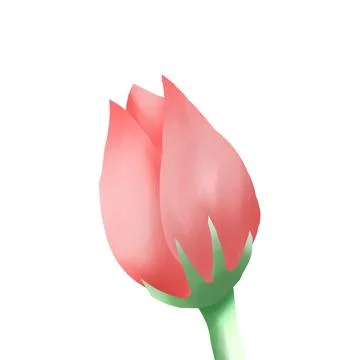 Pink flower illlustration Stock Illustration