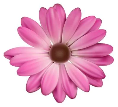 Pink flower Stock Illustration