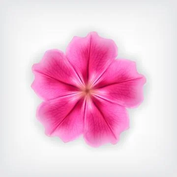 Pink flower Stock Illustration