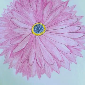Pink flower Stock Illustration
