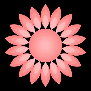Pink Flower Mandala Vector with Layered Petals on Black Stock Illustration